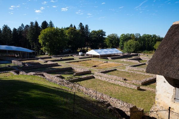 L'art de dîner léger : des idées de repas créatives